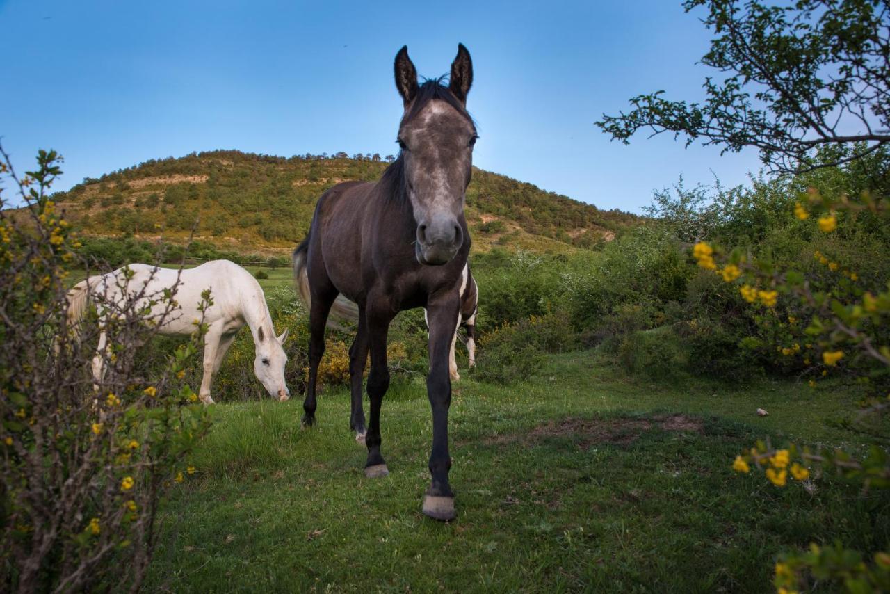 Hospedaje Rural Casa Parri Poveda de la Sierra Bagian luar foto